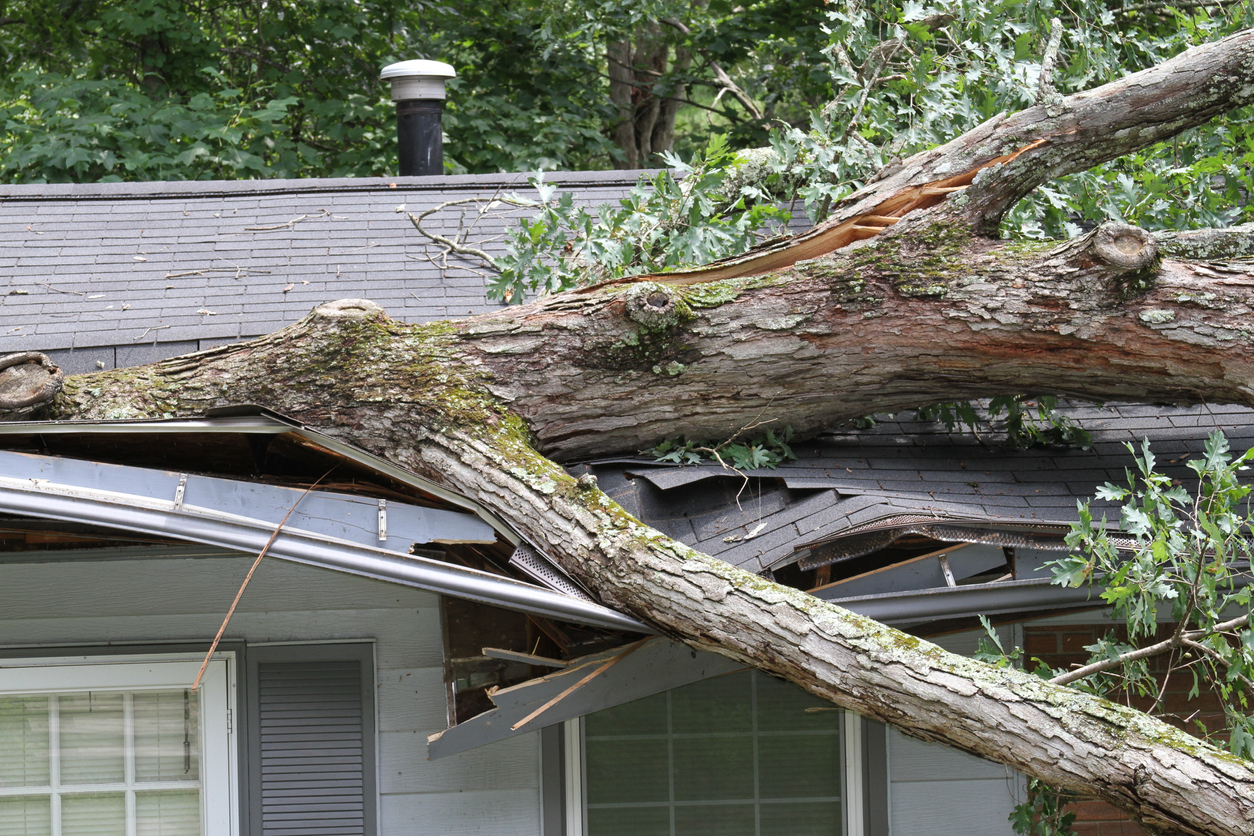 What Are the 5 Categories of Hurricanes?